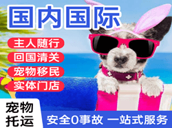 三家子空运代理国际宠物托运 【国