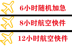 三家子空运代理快递公司,专业空运当天件